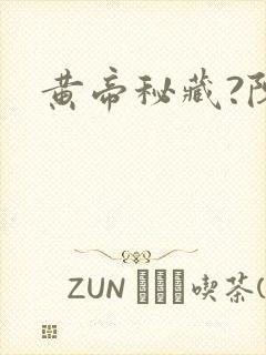 黄帝秘藏?陈启封面