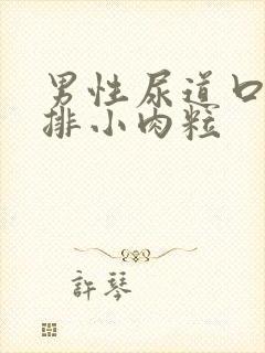 男性尿道口有一排小肉粒