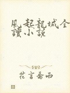 风起龙城全文阅读小说封面