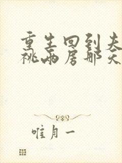 重生回到夫君兼祧两房那天封面