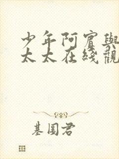 少年阿宾与房东太太在线观看