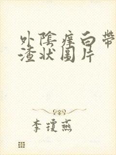 外阴痒白带豆腐渣状图片