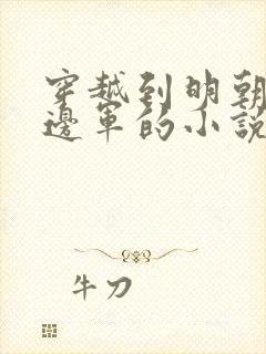 穿越到明朝成为边军的小说