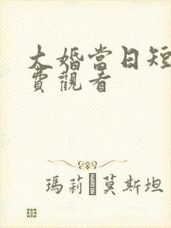 大婚当日短剧免费观看