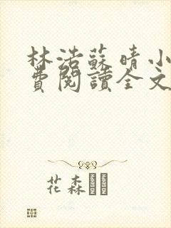 林浩苏晴小说免费阅读全文最新章节