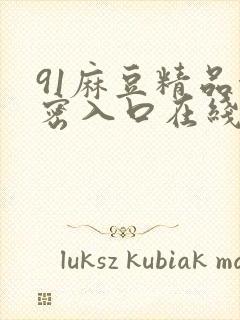 91麻豆精品秘密入口在线观看