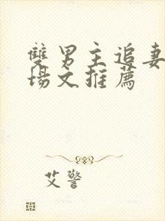 双男主追妻火葬场文推荐封面