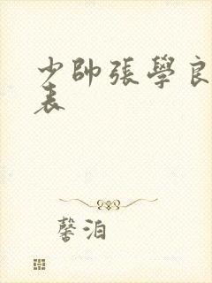 少帅张学良演员表