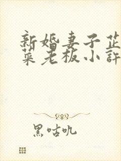 新婚妻子芷珊和菜老板小许小说免费阅读