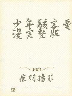 少年骇客爱表动漫完整版