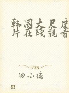 韩国大尺度伦理片在线观看