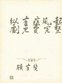 纵有疾风起电视剧免费完整封面