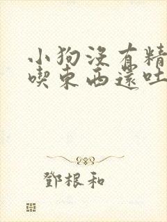 小狗没有精神不吃东西还吐怎么办