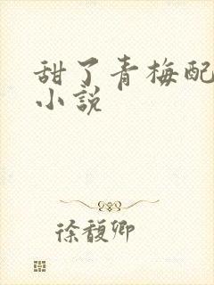 甜了青梅配竹马小说