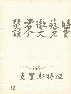 楚君彻苏时锦小说全文免费阅读