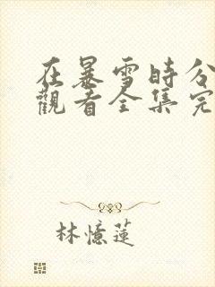 在暴雪时分免费观看全集完整版