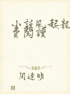 小说风起龙城免费阅读