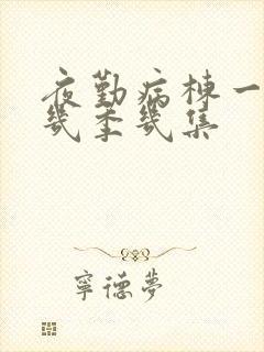 夜勤病栋一共有几季几集