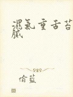 湿气重舌苔白厚腻