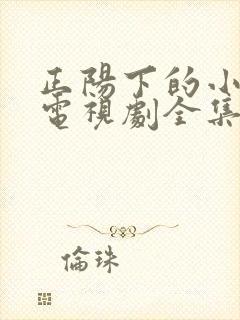 正阳下的小女人电视剧全集免费播放封面