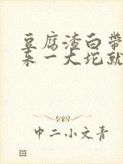 豆腐渣白带抠出来一大坨就没了