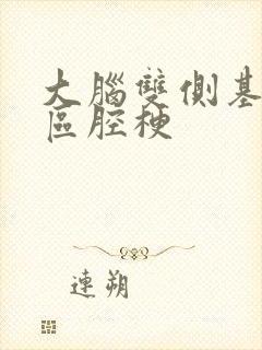 大脑双侧基底节区腔梗封面