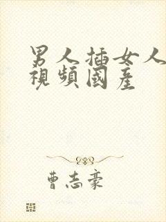 男人插女人下面视频国产