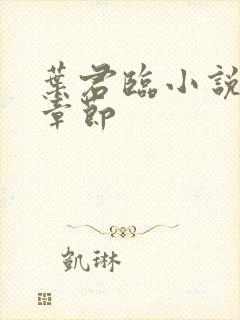 叶君临小说最新章节封面