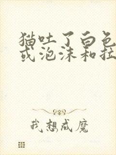 猫吐了白色黏液或泡沫和拉稀