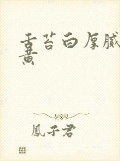 舌苔白厚腻有点黄