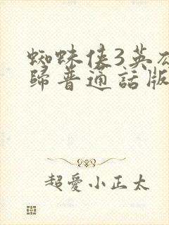 蜘蛛侠3英雄无归普通话版封面