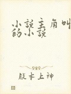 小说主角叫林昊的小说