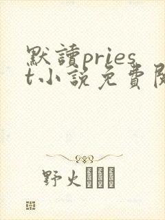 默读priest小说免费阅读全集