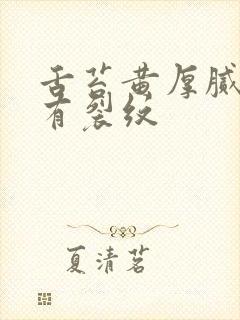 舌苔黄厚腻中间有裂纹