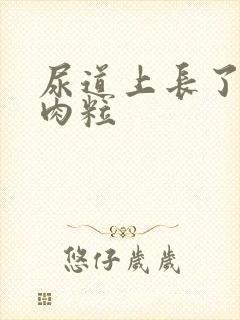 尿道上长了个小肉粒封面