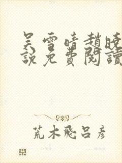 吴雪晴赵晓东小说免费阅读