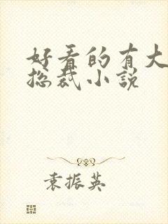 好看的有大船的总裁小说封面