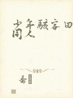 少年骇客田小玖同人