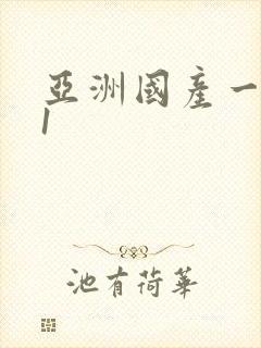 亚洲国产一区91