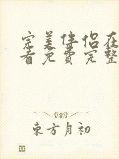 完美伴侣在线观看免费完整版