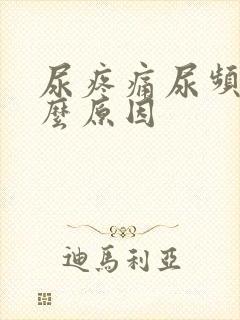 尿疼痛尿频是什么原因封面