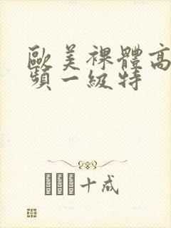 欧美裸体高清视频一级特