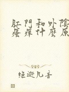 肛门和外阴之间瘙痒什么原因