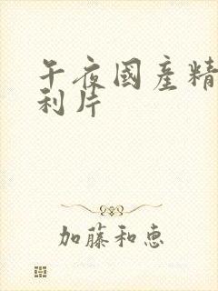 午夜国产精品福利片封面