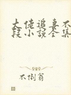 大佬追妻不择手段小说全集阅读