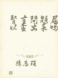 肾有问题尿检可以查出来吗