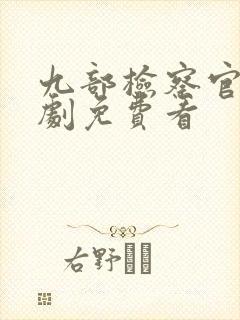 九部检察官电视剧免费看