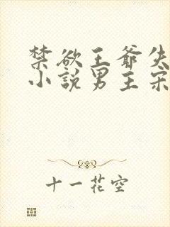 禁欲王爷失控了小说男主宋持的小说封面