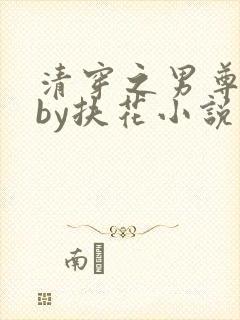 清穿之男尊女卑by扶花小说免费阅读封面