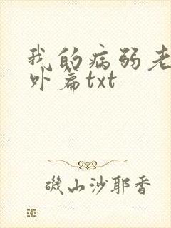我的病弱老婆番外篇txt